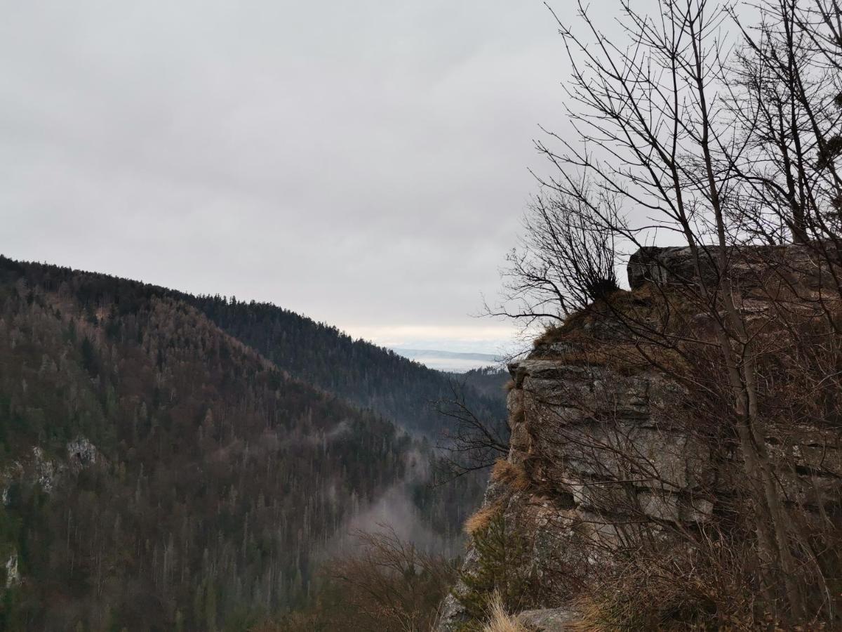 Ubytovanie Lala Spišské Tomášovce Exteriér fotografie